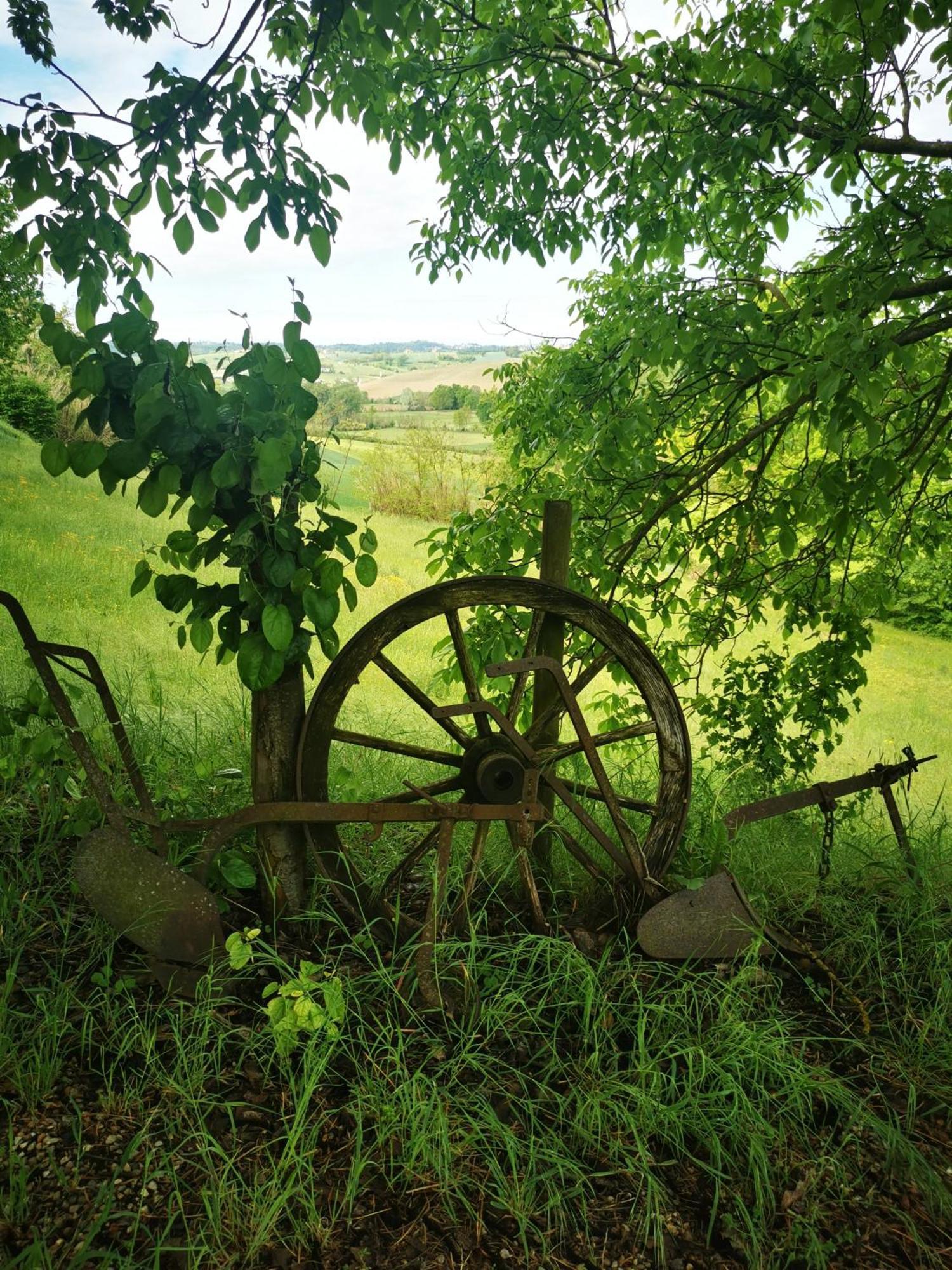 Azienda Agricola Tenuta Del Barone Calliano  Екстериор снимка
